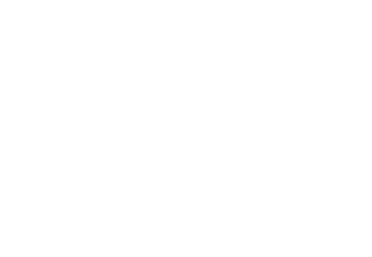 Faladdin & Binnaz